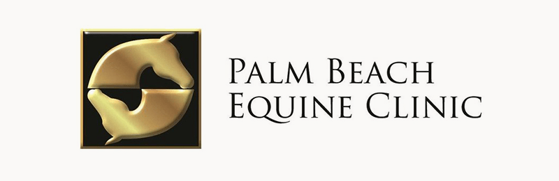 Palm Beach Equine Clinic